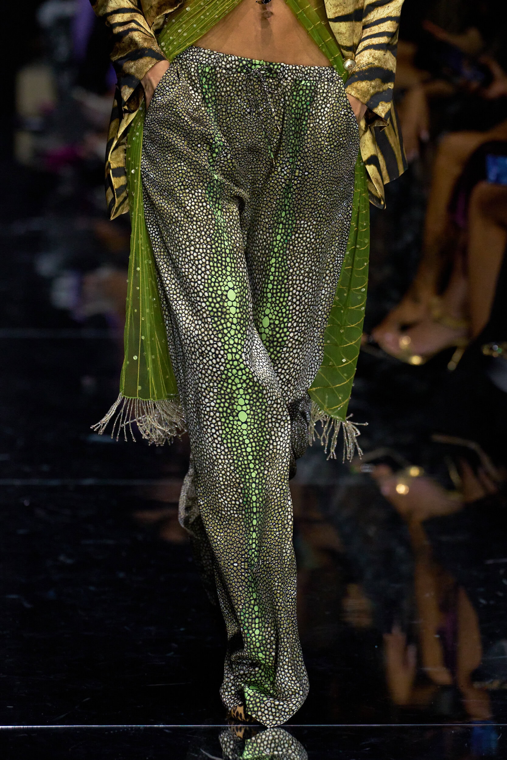 Roberto Cavalli Spring 2027 Fashion Show Details