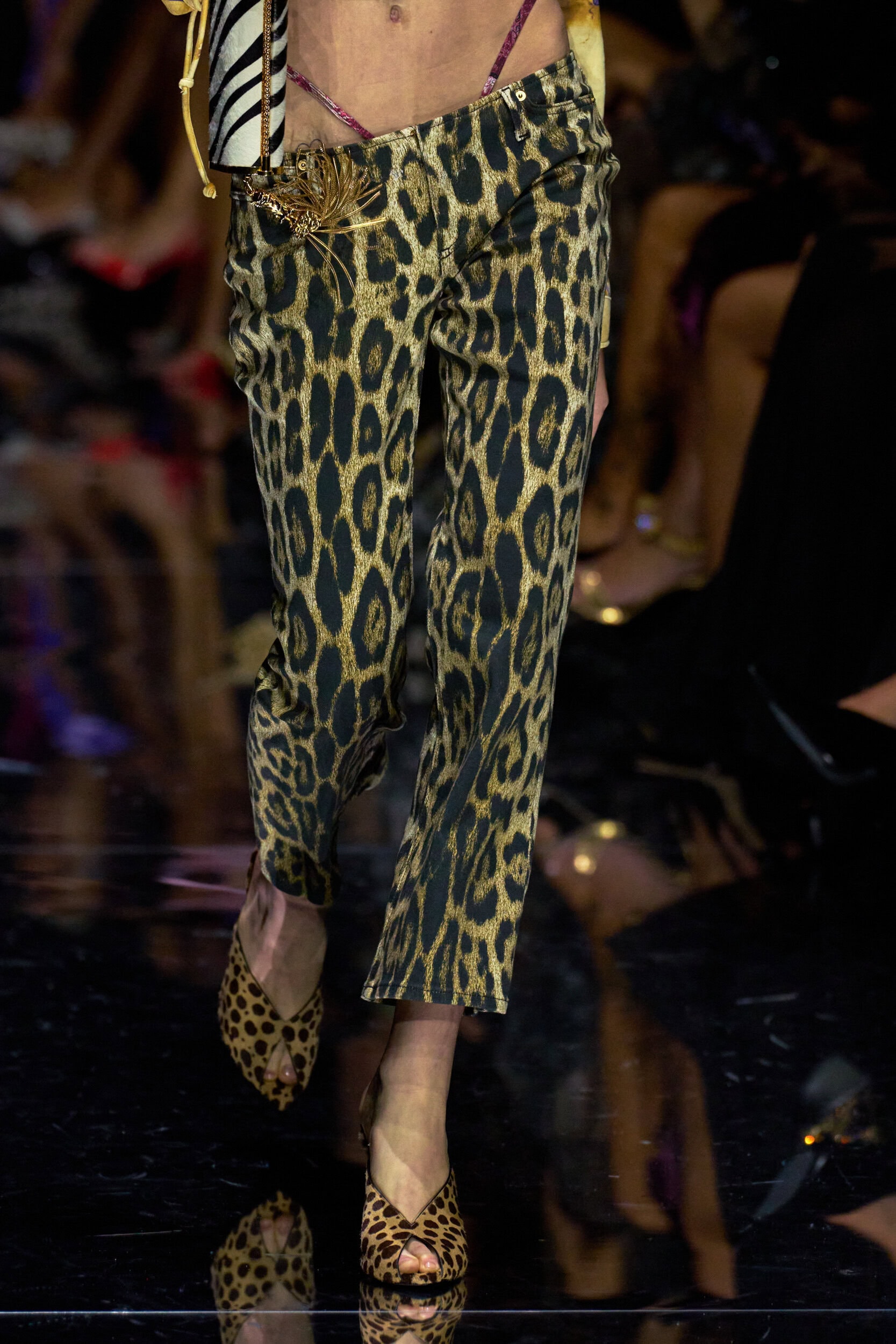 Roberto Cavalli Spring 2027 Fashion Show Details