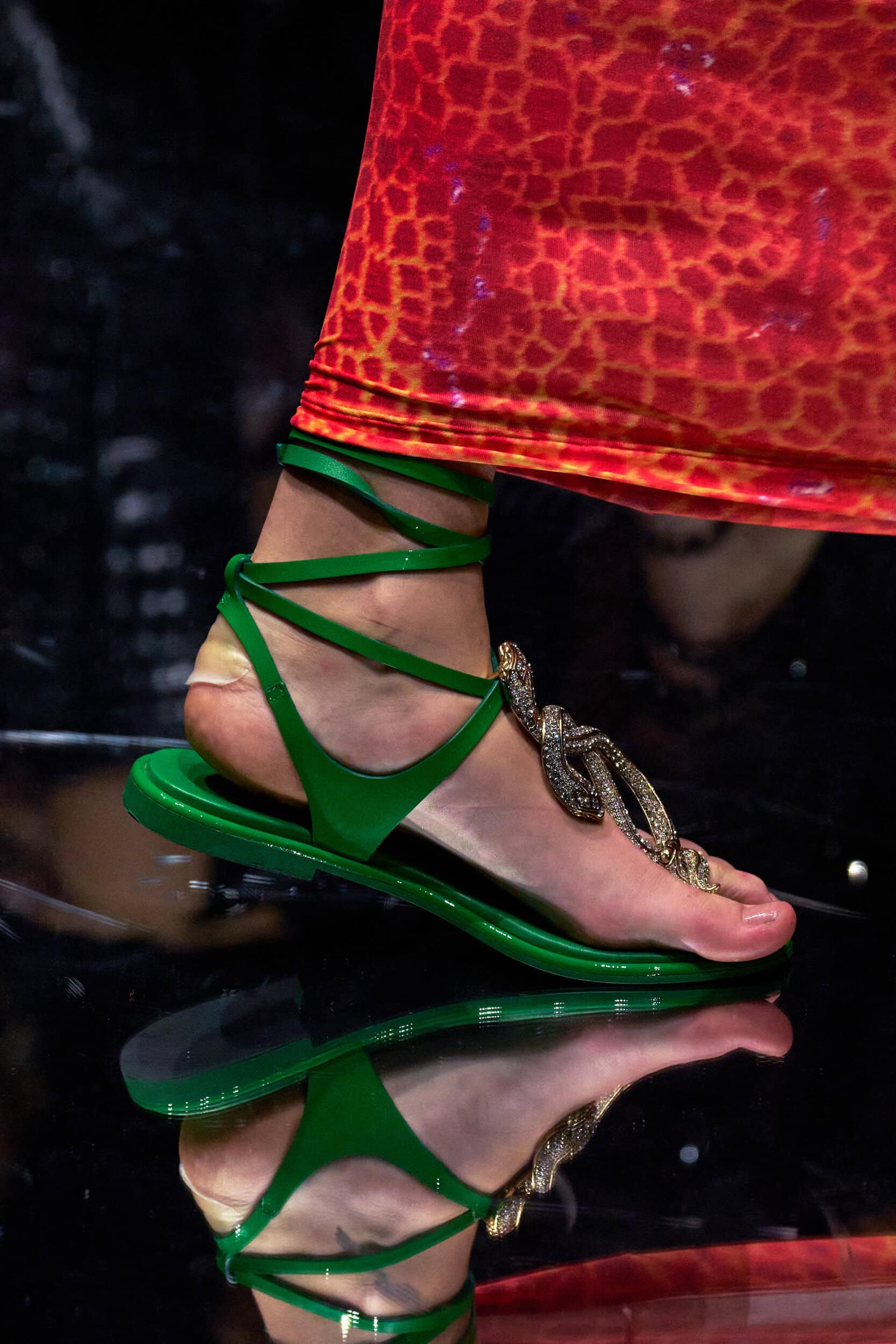 Roberto Cavalli Spring 2027 Fashion Show Details
