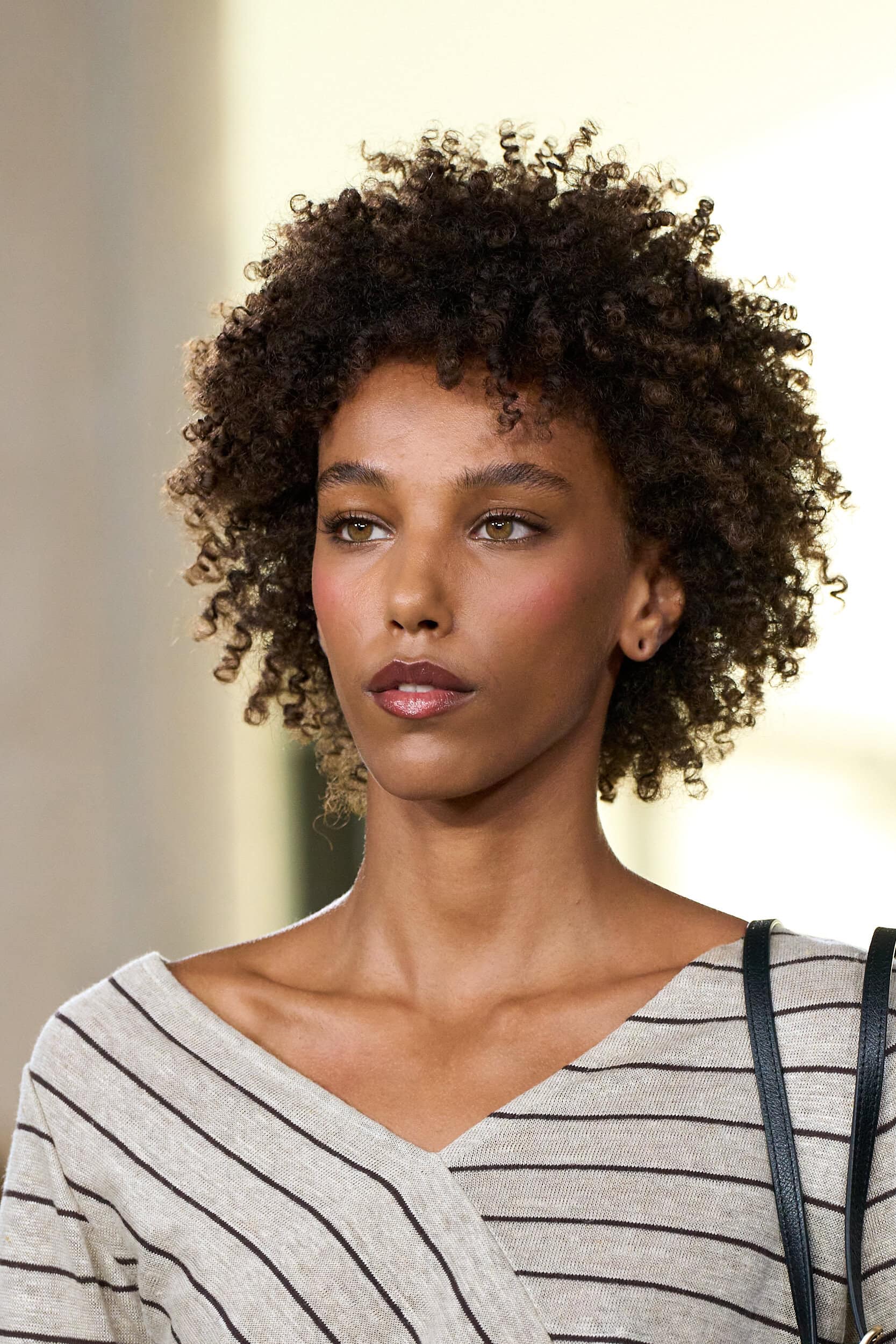 Agnes B Spring 2027 Fashion Show Details