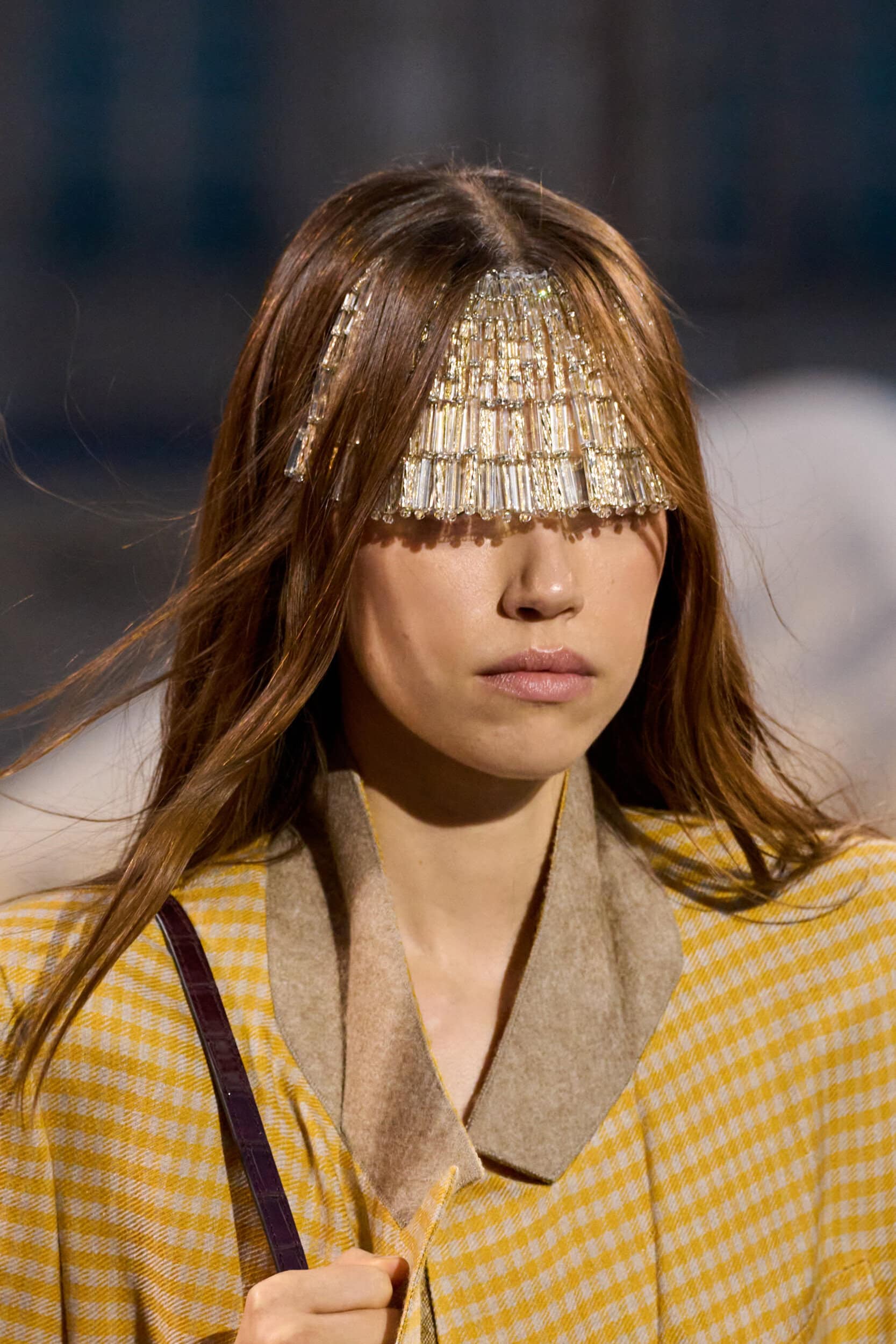Louis Vuitton Spring 2027 Fashion Show Details