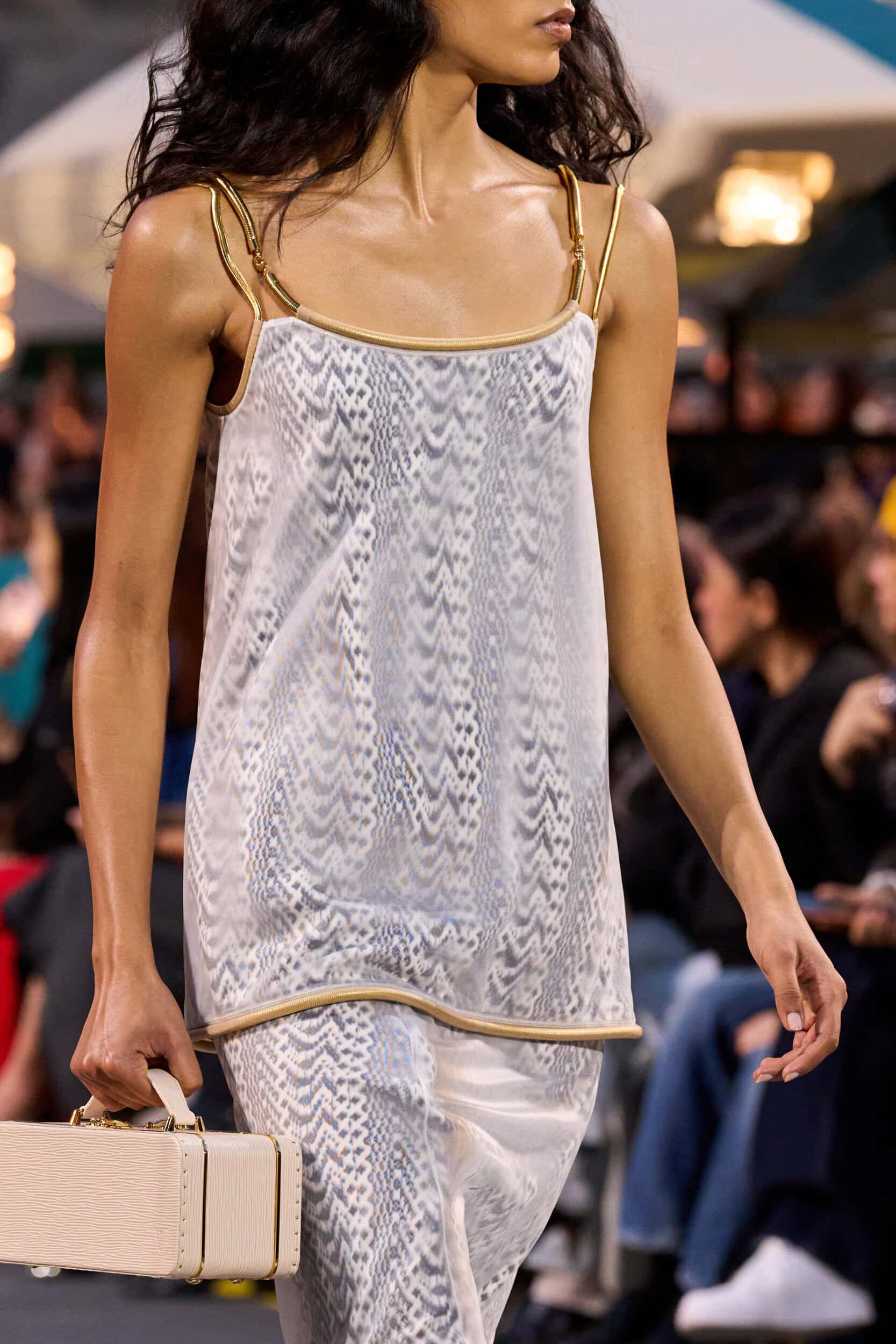 Louis Vuitton Spring 2027 Fashion Show Details