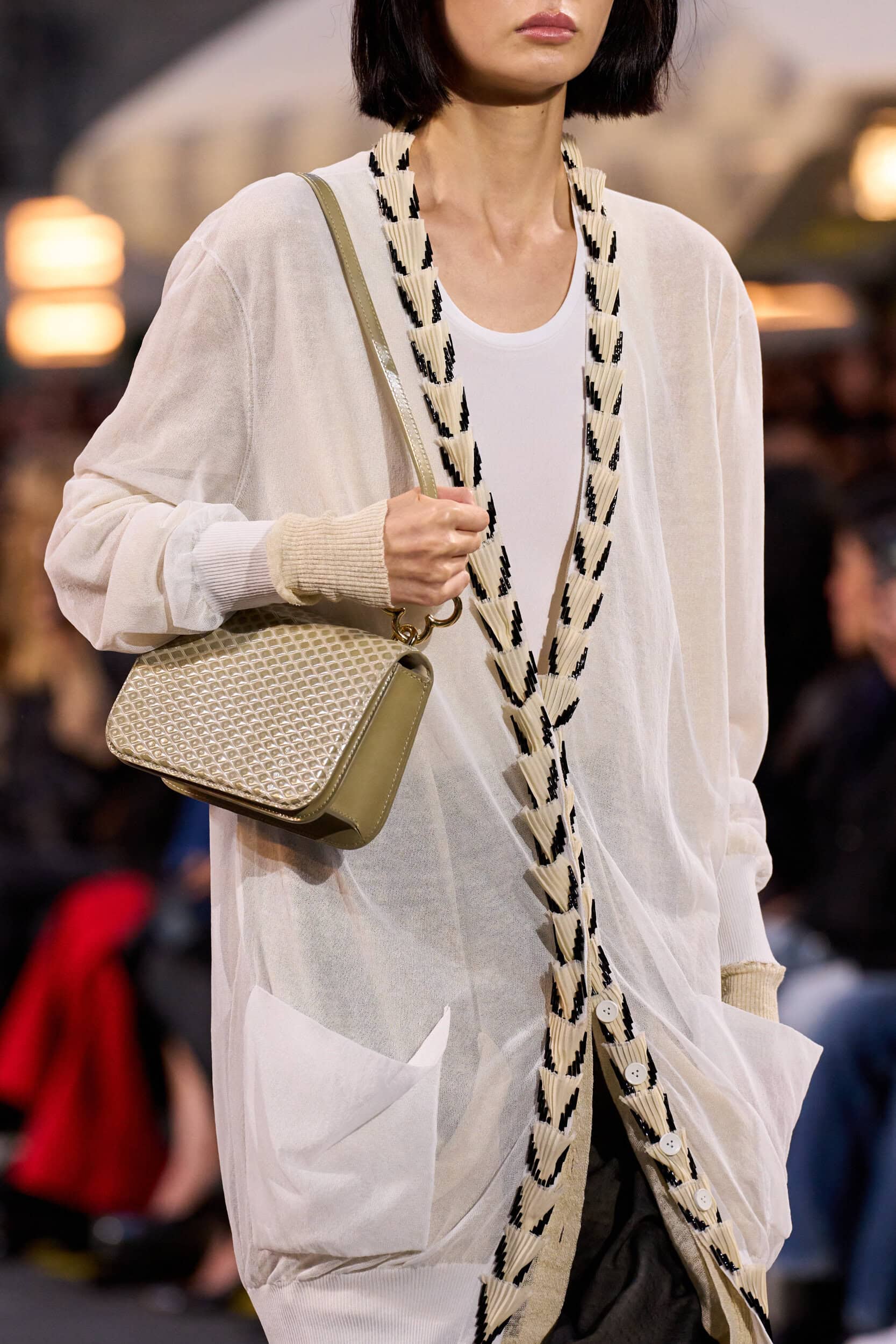 Louis Vuitton Spring 2027 Fashion Show Details